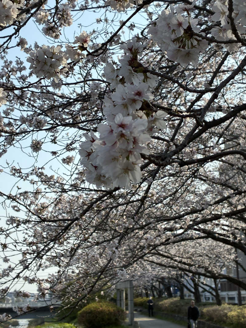 坂田 康之さんの毎日サウナ 八王子店のサ活写真
