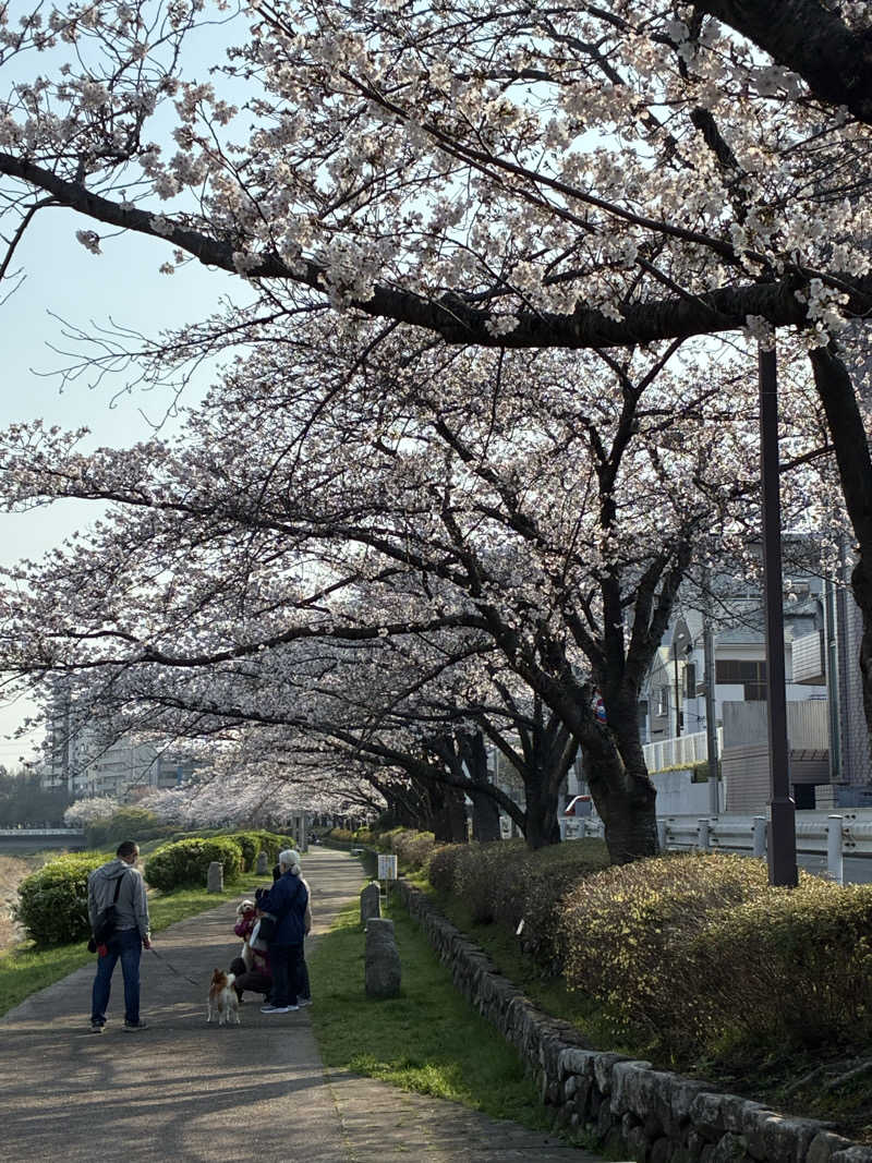 坂田 康之さんの毎日サウナ 八王子店のサ活写真