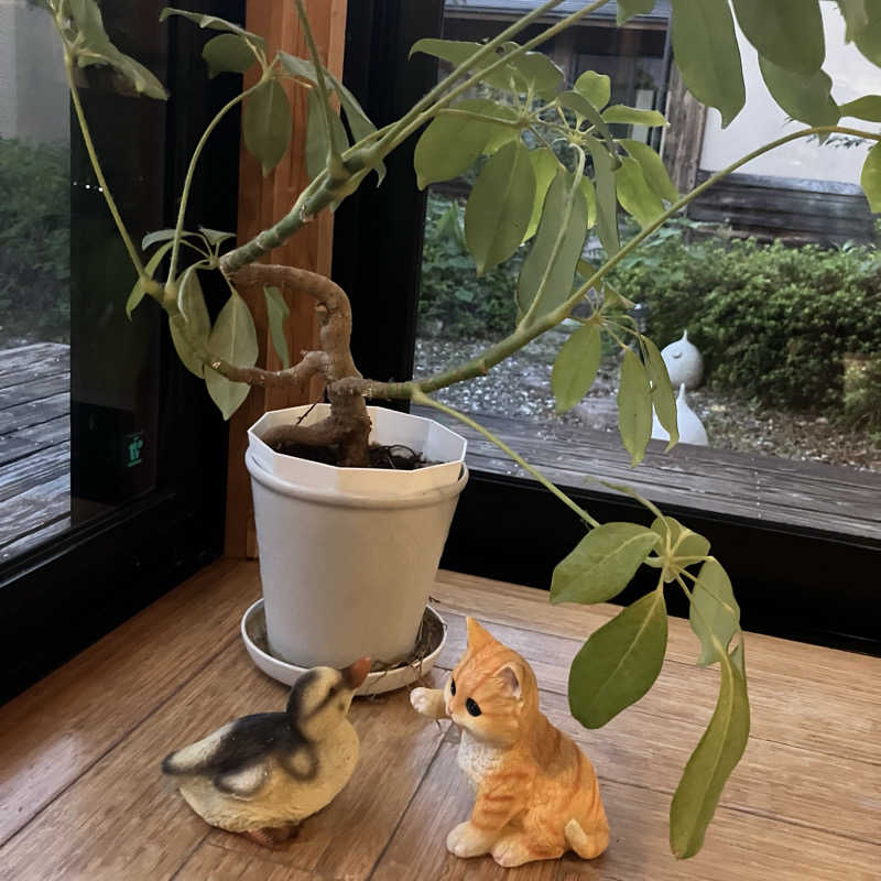 うどんちゃんさんのひがしせふり温泉 山茶花の湯のサ活写真