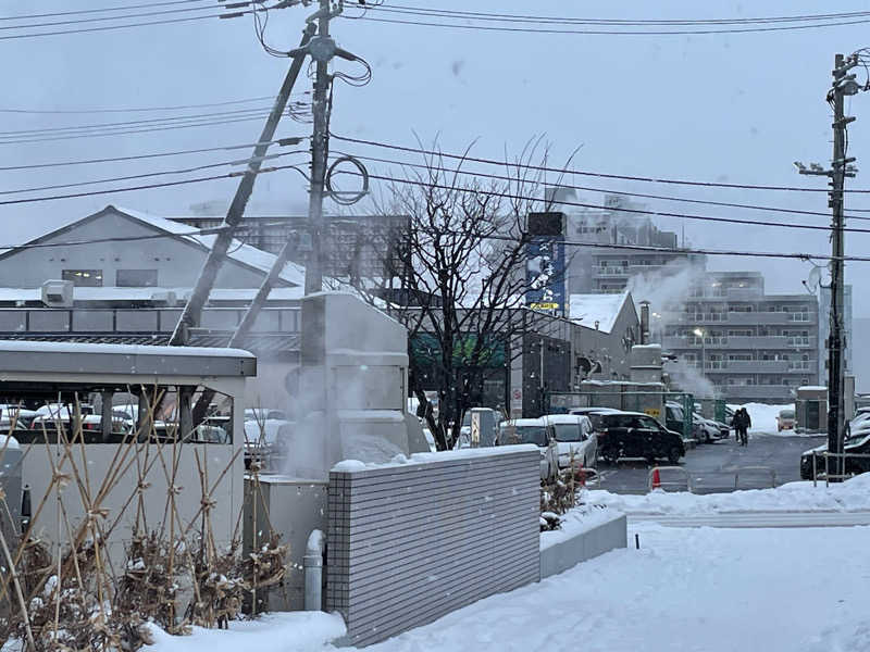 とおさんの北のたまゆら 桑園のサ活写真