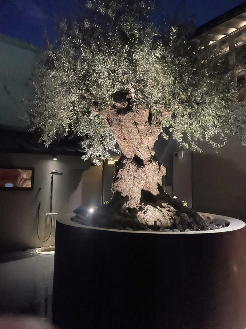 くるさんさんのsauna kolme kylä (サウナ コルメ キュラ)のサ活写真