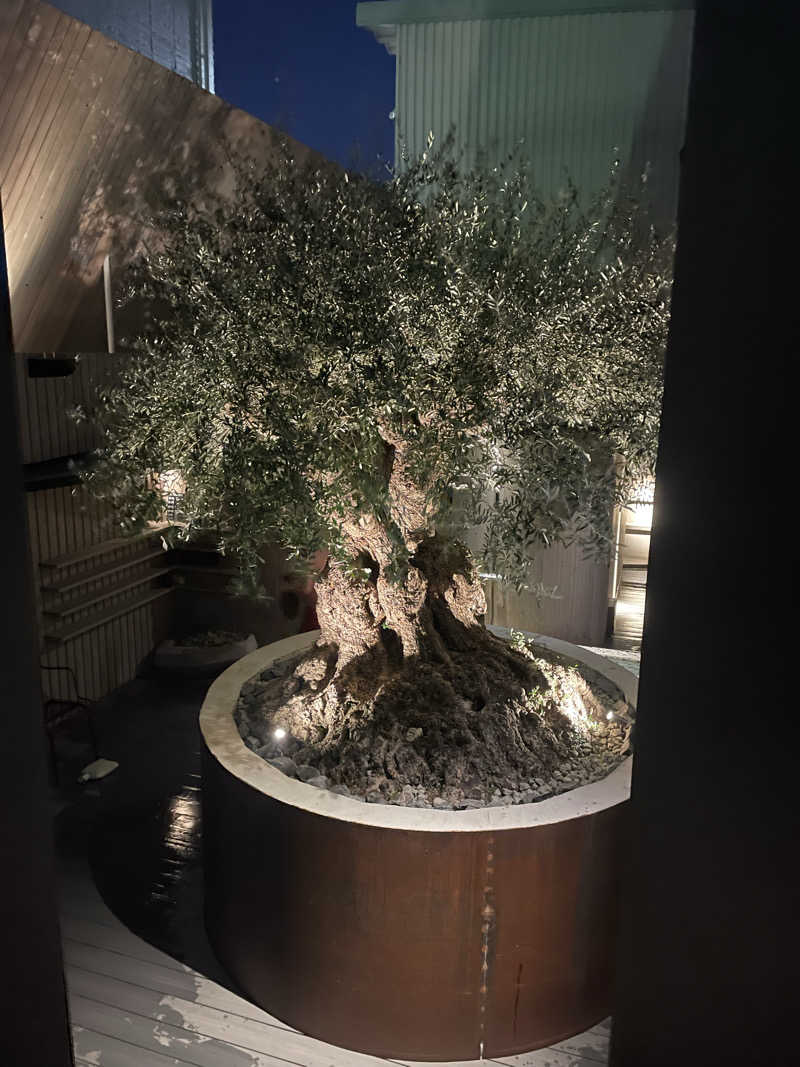 くるさんさんのsauna kolme kylä (サウナ コルメ キュラ)のサ活写真