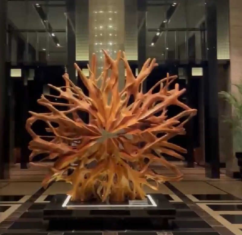 kaotanさんのエクシブ箱根離宮のサ活写真