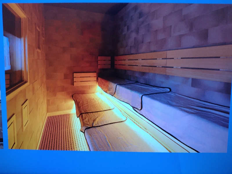 改心さんの天然温泉 多宝の湯 ドーミーイン新潟のサ活写真