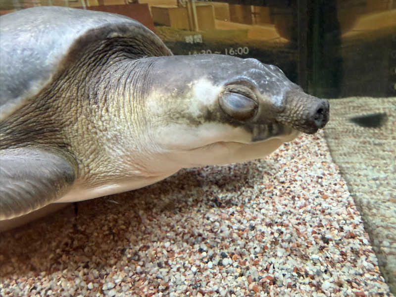 cova.さんの松本湯のサ活写真