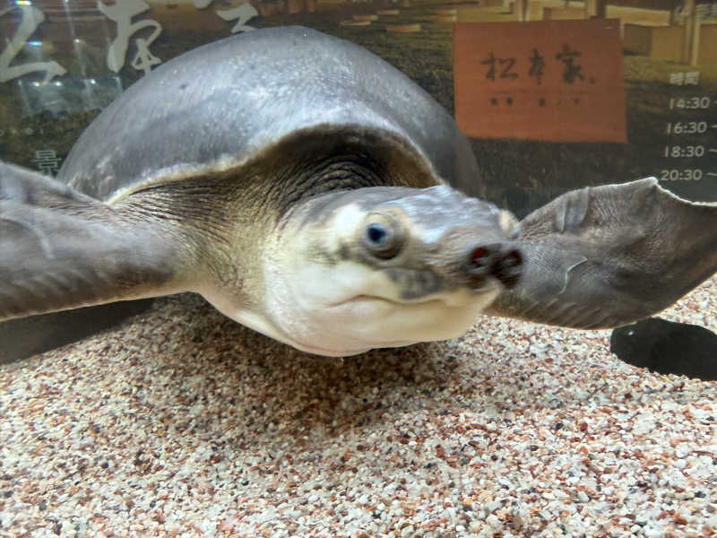 cova.さんの松本湯のサ活写真