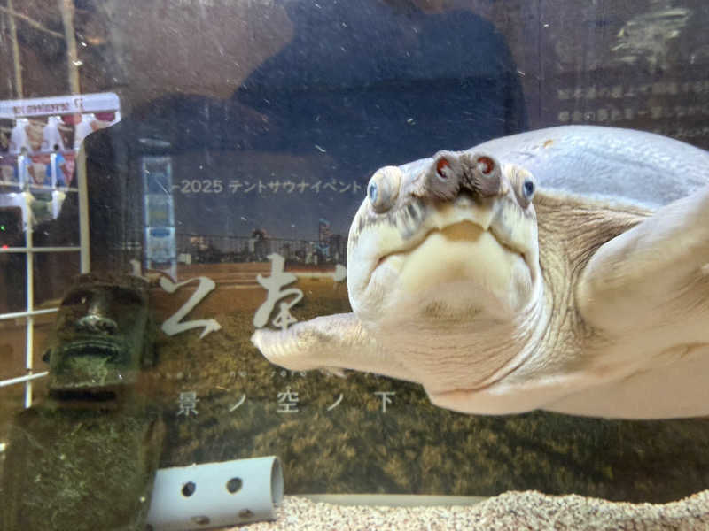 cova.さんの松本湯のサ活写真