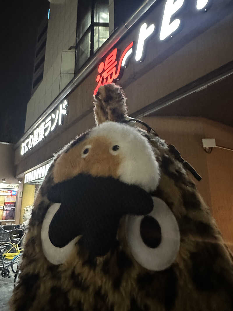 西も。さんのなにわ健康ランド 湯〜トピアのサ活写真