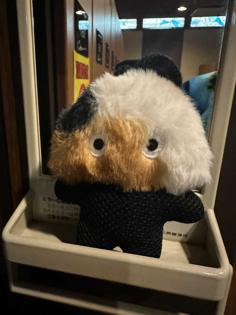 西も。さんのなにわ健康ランド 湯〜トピアのサ活写真