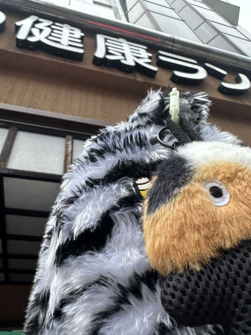 西も。さんのなにわ健康ランド 湯〜トピアのサ活写真