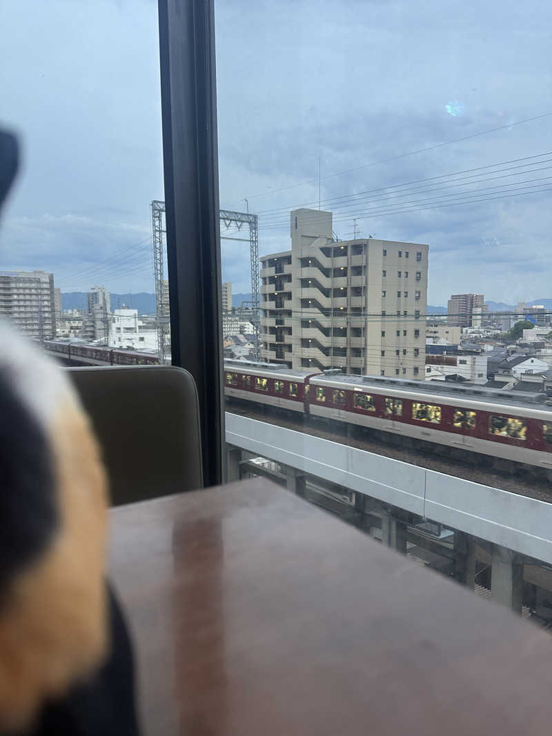 西も。さんのなにわ健康ランド 湯〜トピアのサ活写真