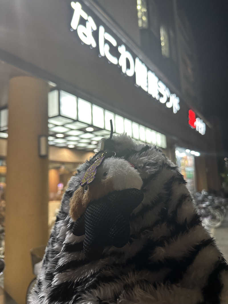 西も。さんのなにわ健康ランド 湯〜トピアのサ活写真