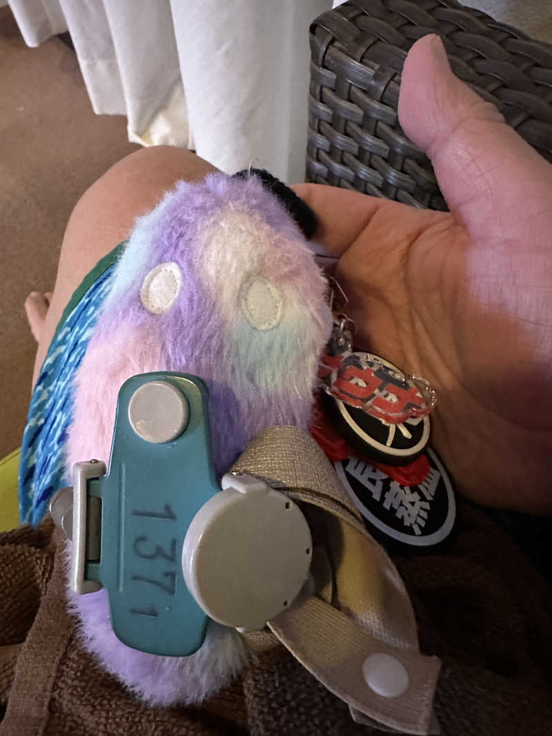 西も。さんのなにわ健康ランド 湯〜トピアのサ活写真