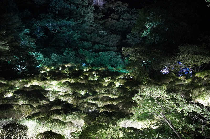 BINOさんの御船山楽園ホテル  らかんの湯のサ活写真