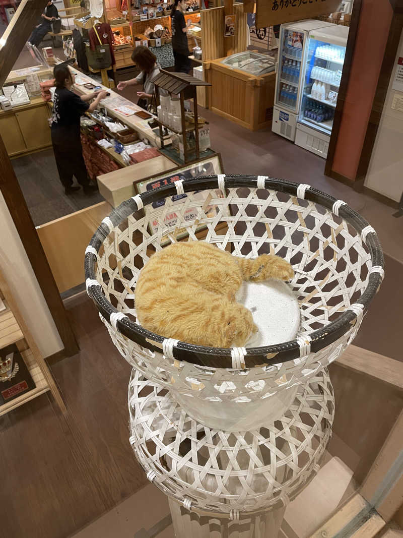 まついまさひこ（熱波師サウンディまさ）さんの天然温泉 満天の湯のサ活写真
