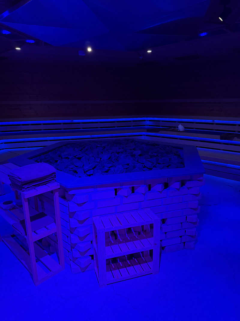 ヤバと〜んさんのウェルビー栄のサ活写真