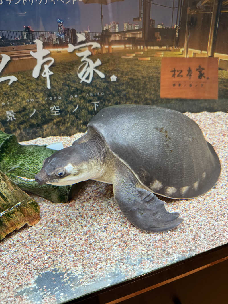 サウナスキーさんの松本湯のサ活写真