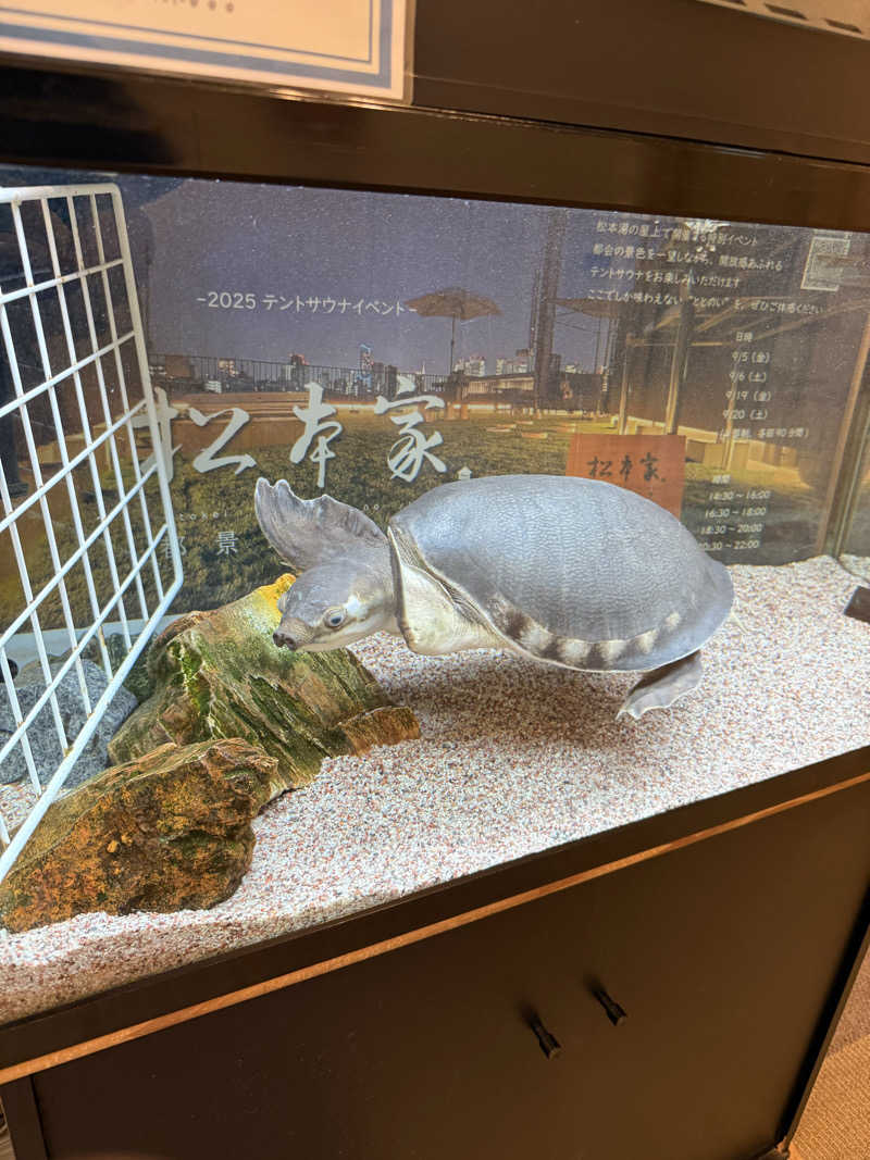 サウナスキーさんの松本湯のサ活写真