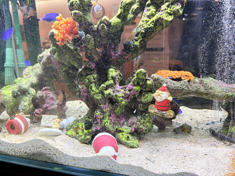 ふゆさんのエナジック天然温泉アロマのサ活写真