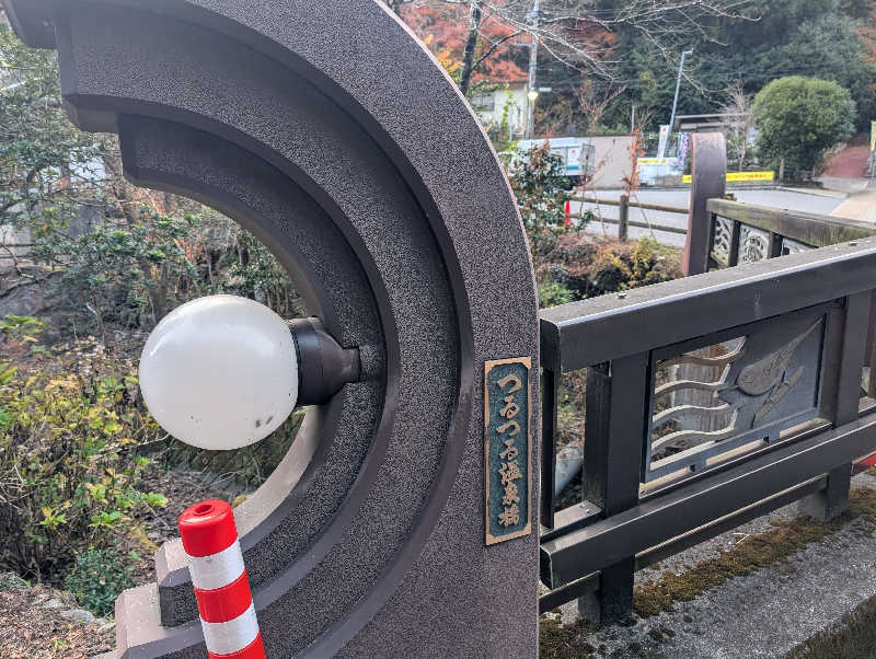 もりゃーさんの生涯青春の湯 つるつる温泉のサ活写真