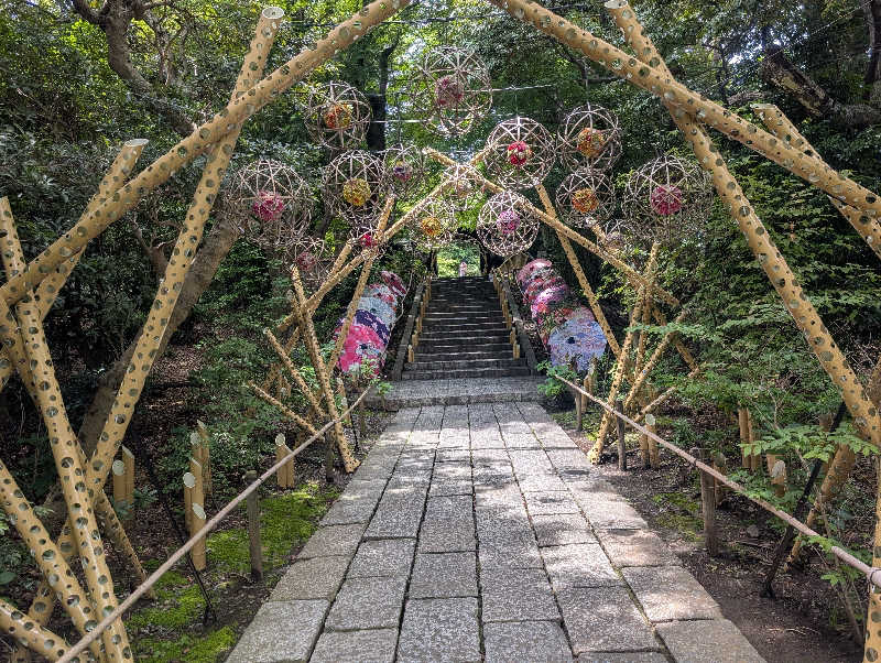 もりゃーさんのよみうりランド眺望温泉 花景の湯のサ活写真