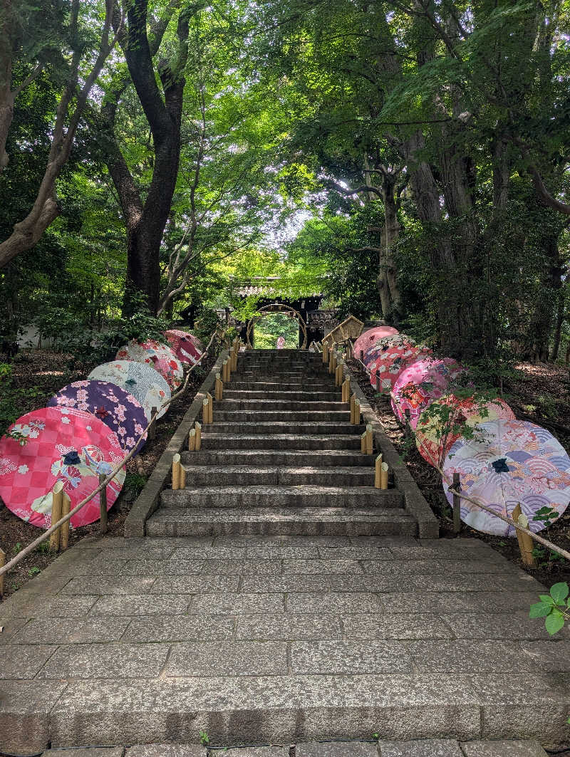 もりゃーさんのよみうりランド眺望温泉 花景の湯のサ活写真