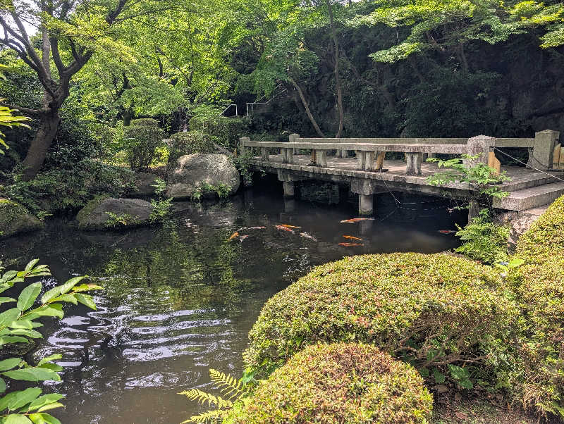 もりゃーさんのよみうりランド眺望温泉 花景の湯のサ活写真