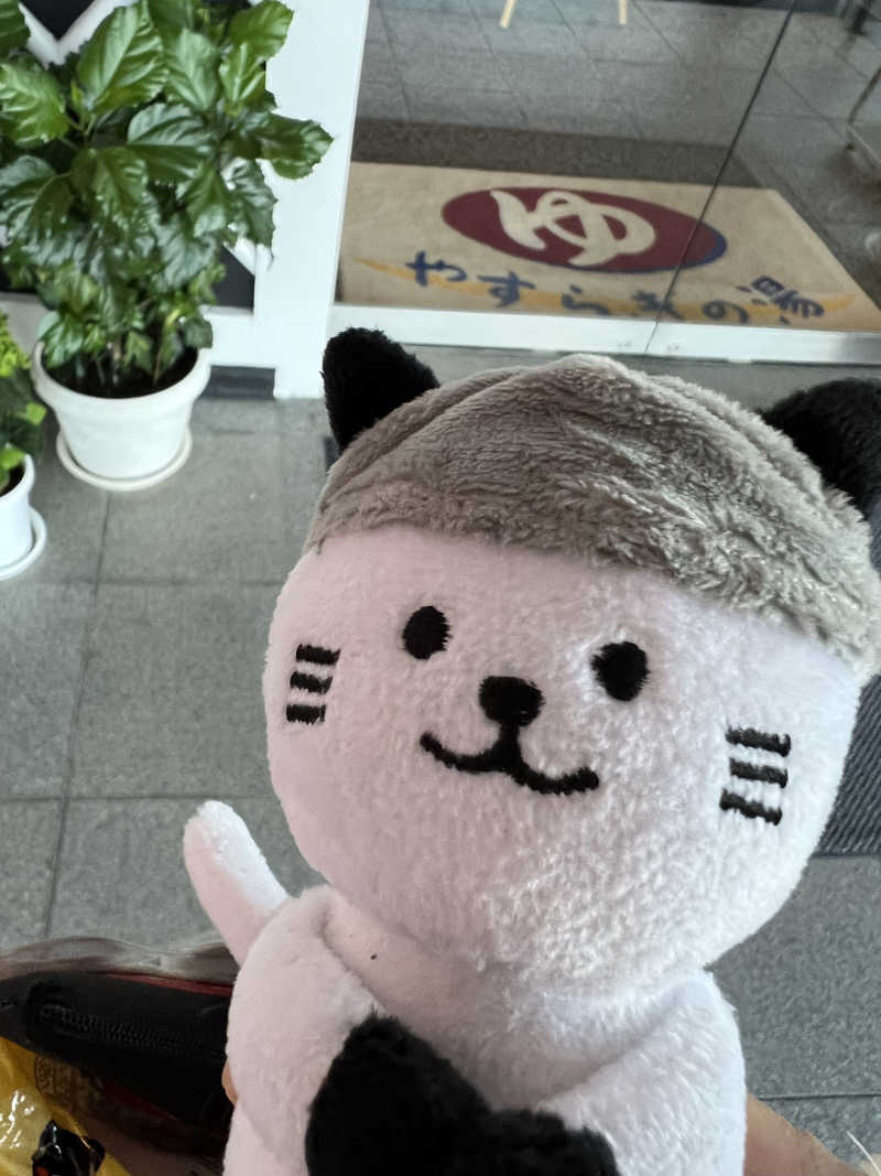 はらさんさんの前橋やすらぎの湯のサ活写真