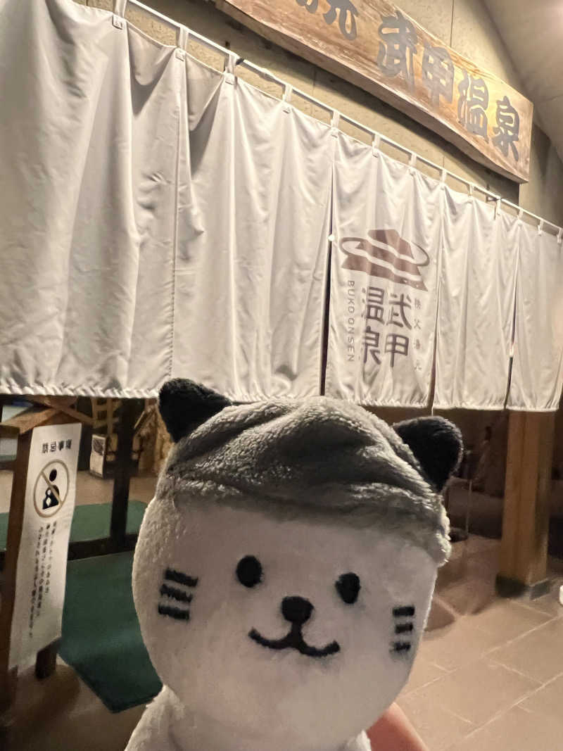 はらさんさんの秩父湯元 武甲温泉のサ活写真