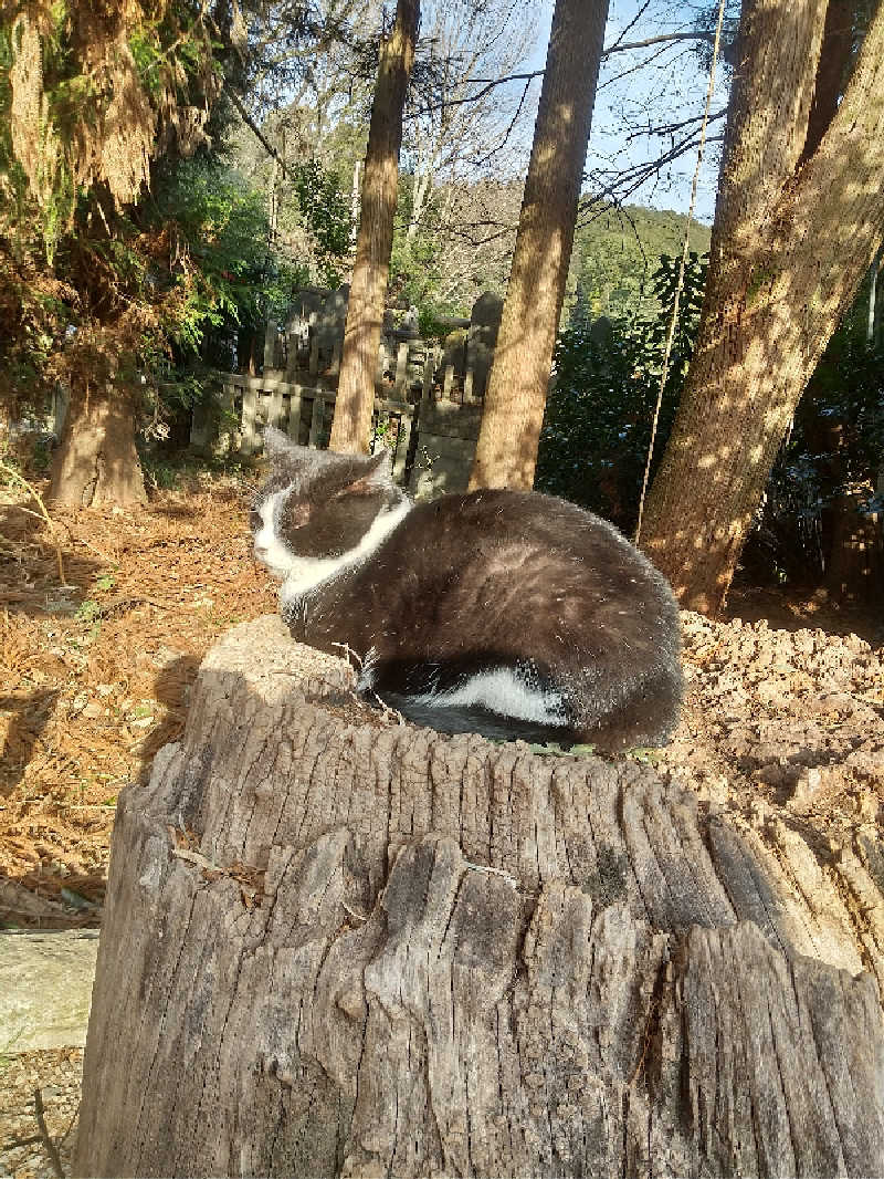 サウナ卵🥚さんのサウナ&カプセルホテル ルーマプラザのサ活写真