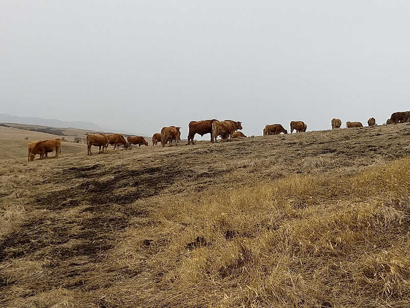 サウナ卵🥚さんのサウナと天然温泉 湯らっくすのサ活写真