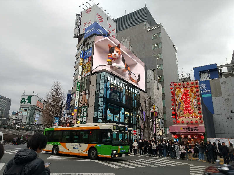 サウナ卵🥚さんのオールドルーキーサウナ 新宿駅新南口店のサ活写真