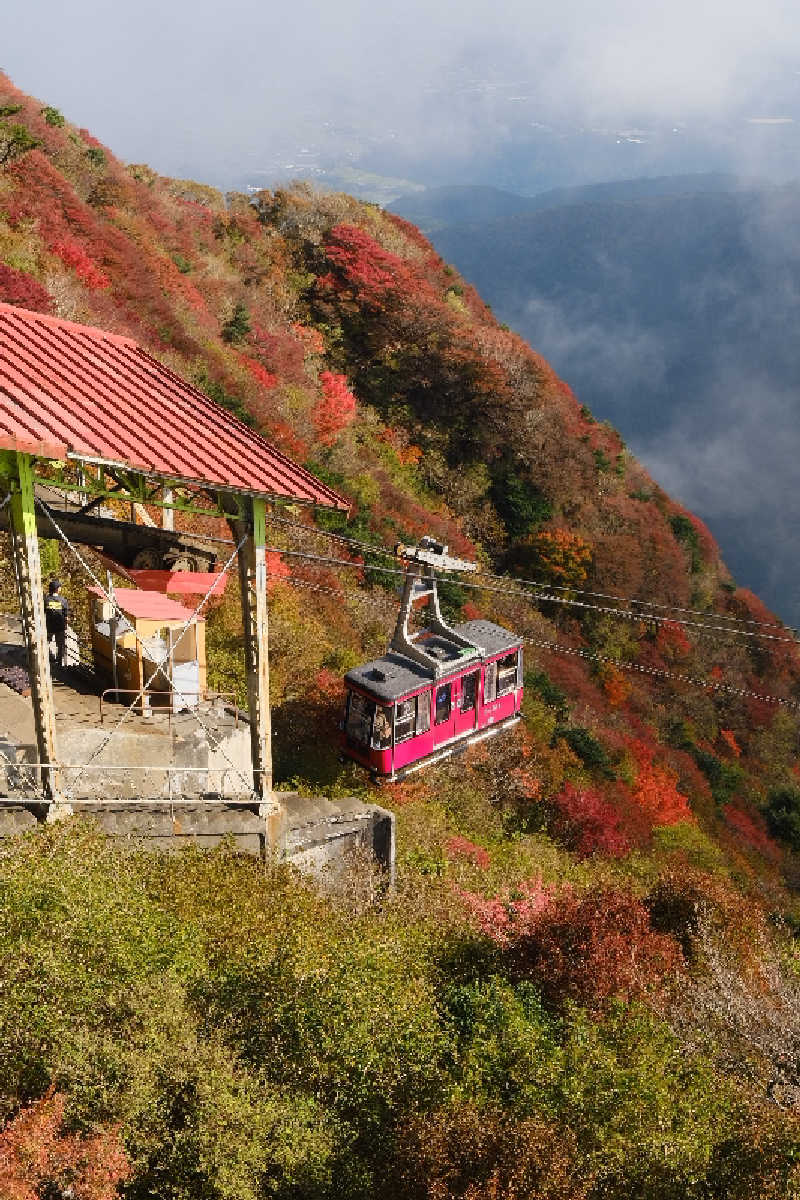 ドロ沼さんの島原温泉 ホテル南風楼のサ活写真