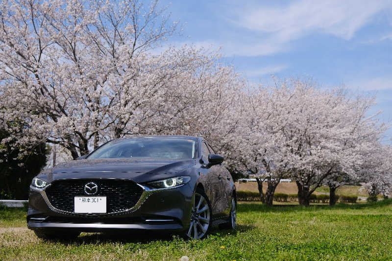 ドロ沼さんのユーパレス弁天のサ活写真