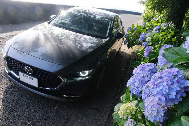 ドロ沼さんの菊陽温泉・さんさんの湯(菊陽町総合交流ターミナルさんふれあ)のサ活写真