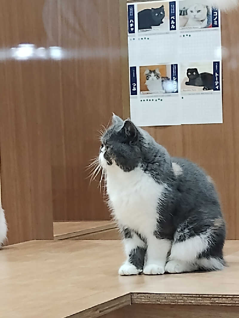 ドロ沼さんの城南天然温泉かたるの森のサ活写真