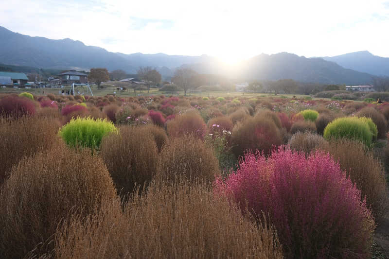 ドロ沼さんのユーパレス弁天のサ活写真