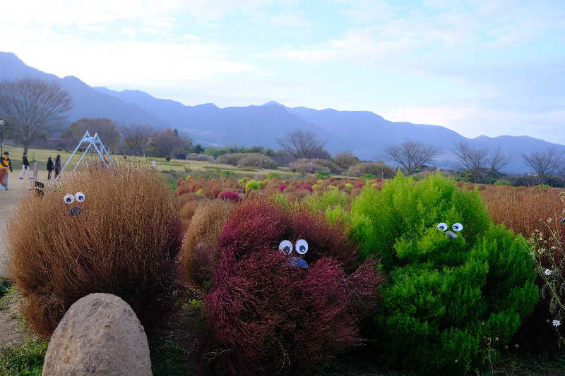 ドロ沼さんのユーパレス弁天のサ活写真