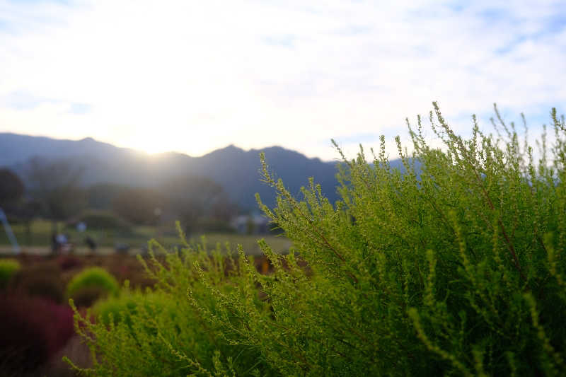 ドロ沼さんのユーパレス弁天のサ活写真