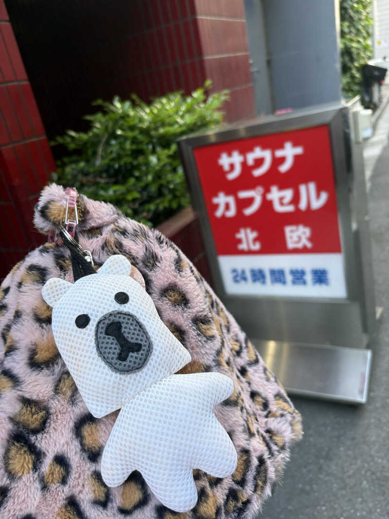 あやまみさんのサウナ&カプセルホテル 北欧のサ活写真