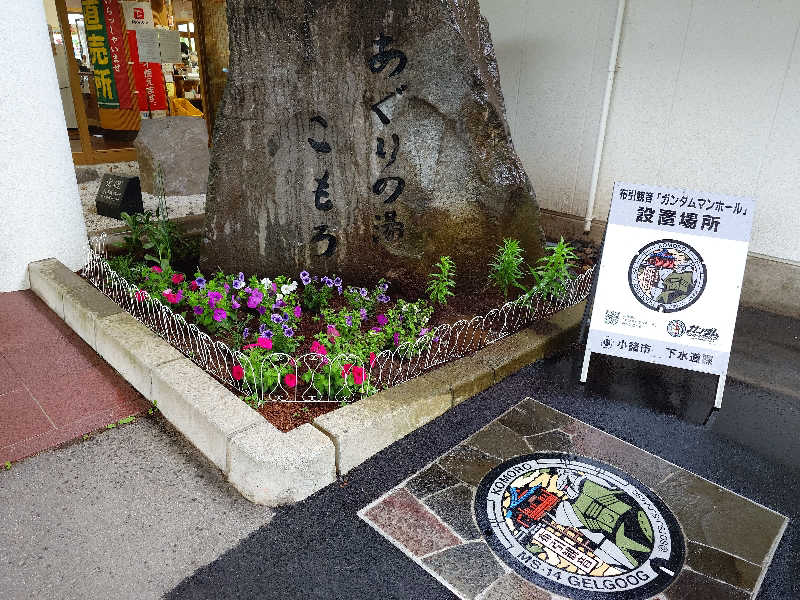 cocuさんのあぐりの湯こもろのサ活写真