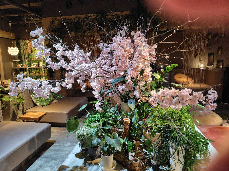 いな🧚‍♂️せんさんのおふろcafé ハレニワの湯のサ活写真