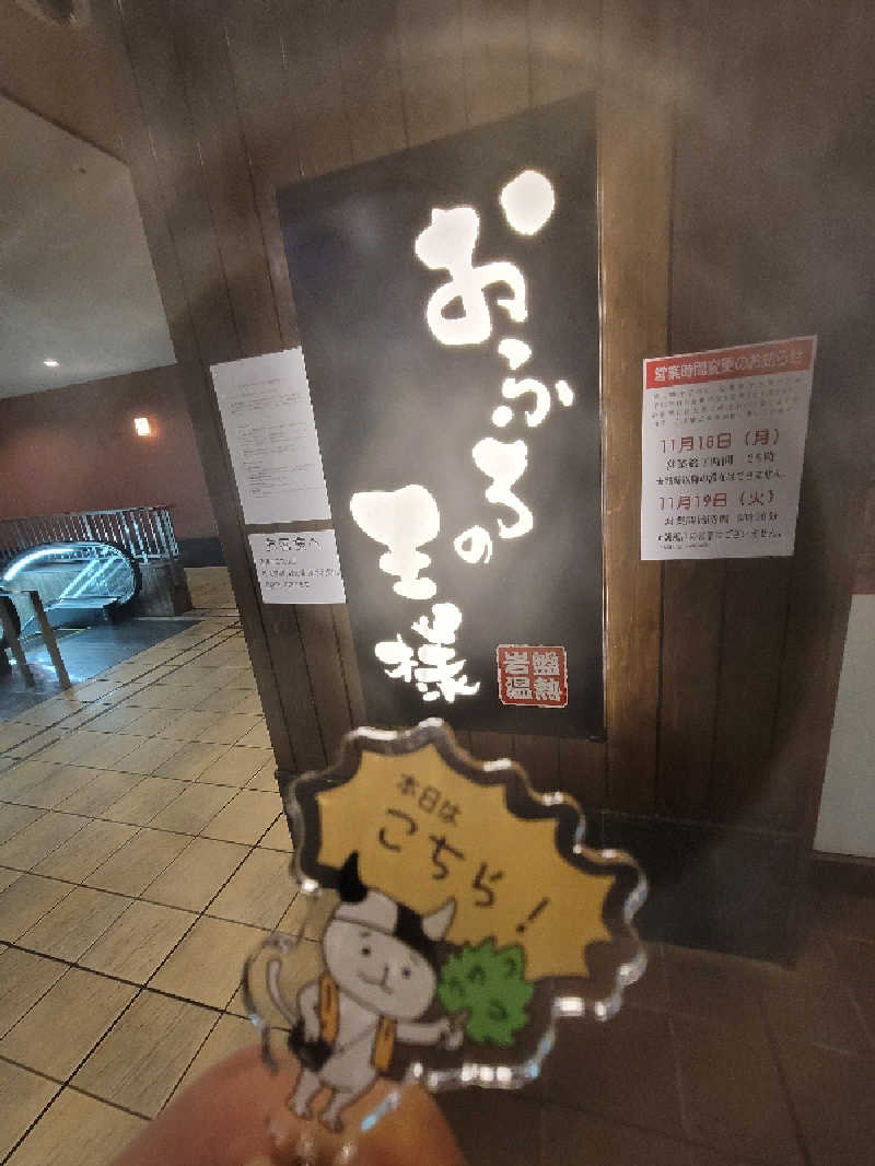 とんさんのおふろの王様 大井町店のサ活写真