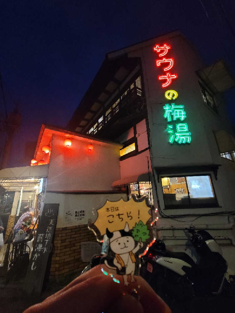 とんさんのサウナの梅湯のサ活写真