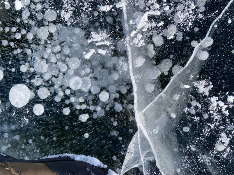 あぽろんさんの森のスパリゾート 北海道ホテルのサ活写真