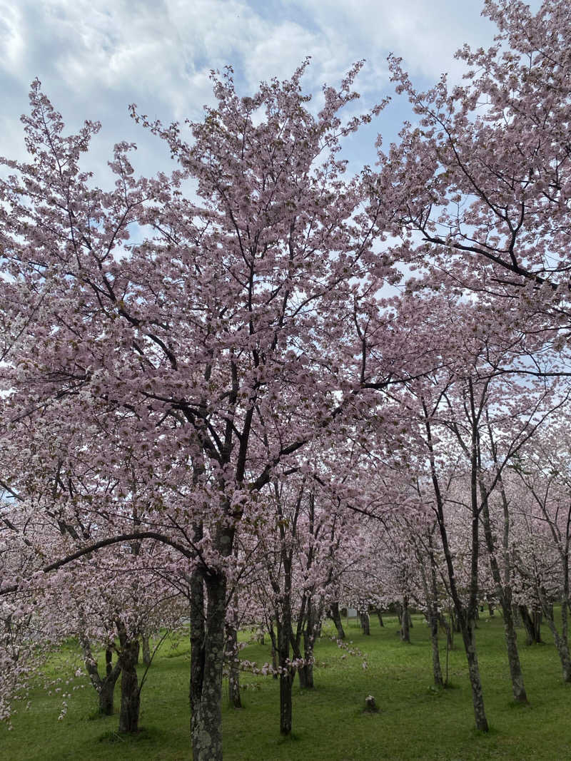 あぽろんさんのキトウシの森きとろんのサ活写真