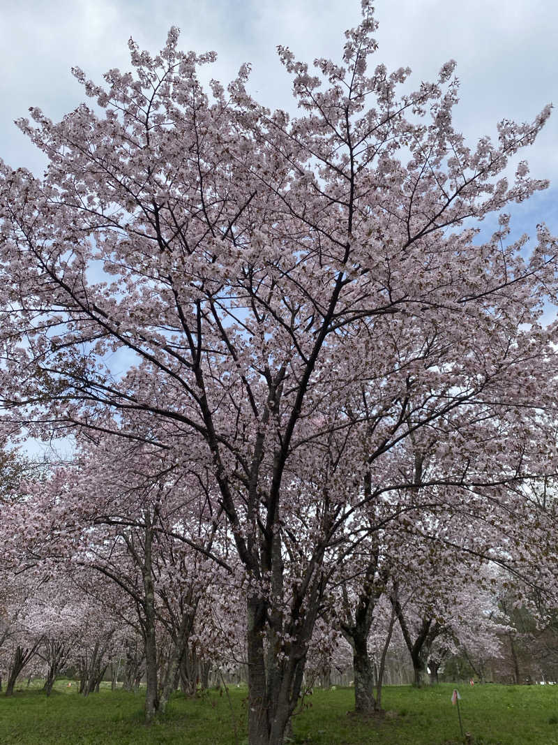 あぽろんさんのキトウシの森きとろんのサ活写真