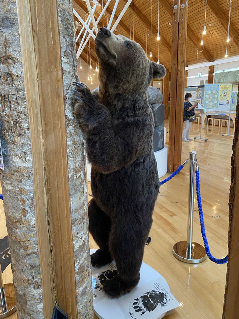 あぽろんさんのしほろ温泉プラザ緑風のサ活写真