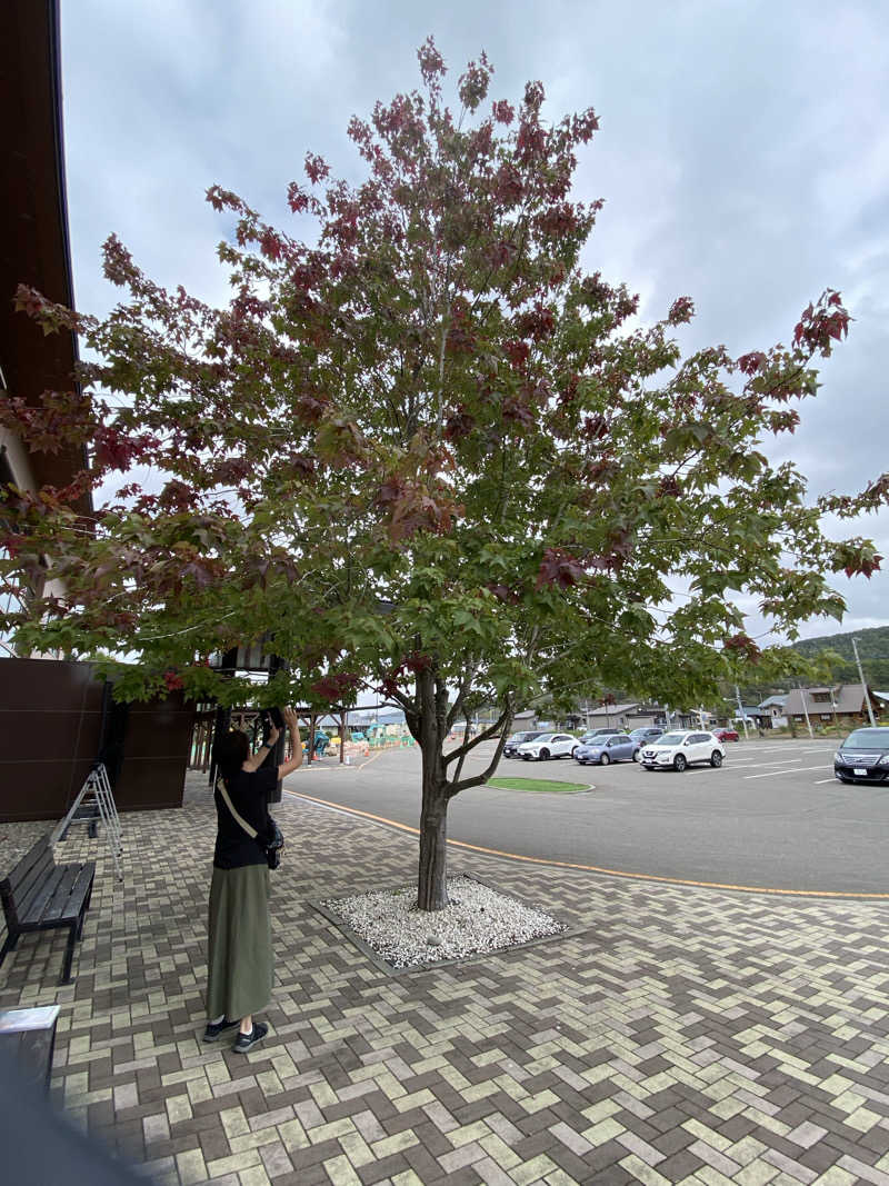 あぽろんさんのしほろ温泉プラザ緑風のサ活写真