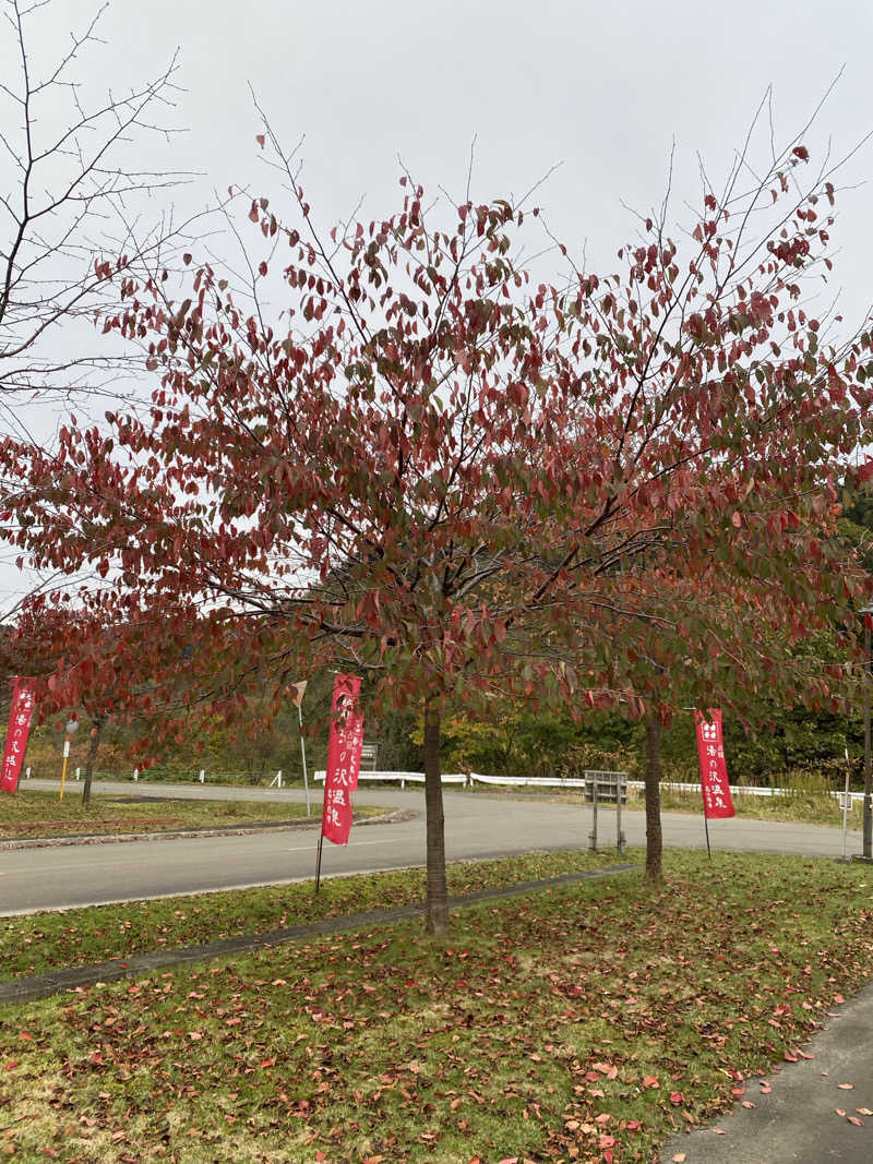 あぽろんさんの湯の沢温泉 森の四季のサ活写真